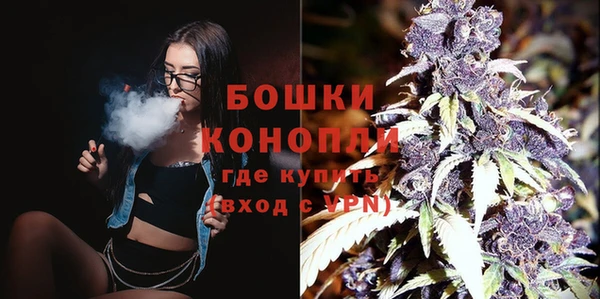 стаф Магас