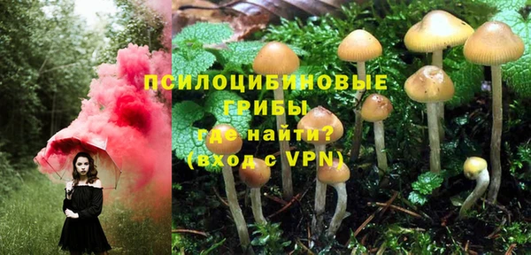 мескалин Майский