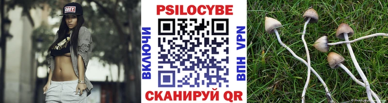 omg рабочий сайт  Красково  Галлюциногенные грибы Magic Shrooms 
